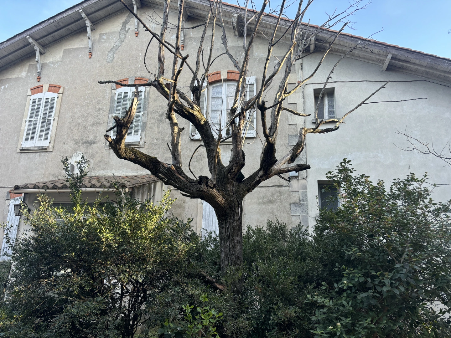 property